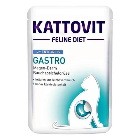 Kattovit thumbnail