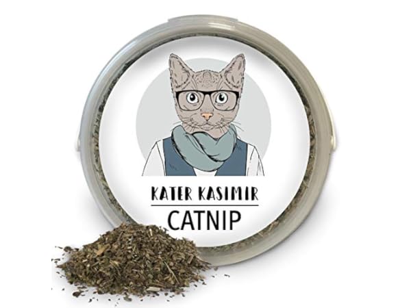 Katzenminze Vorschaubild