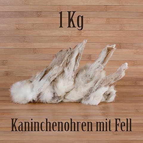 Kauzeit thumbnail