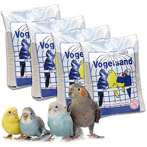 KiesKönig thumbnail