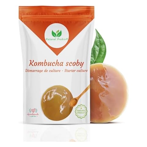Kombucha