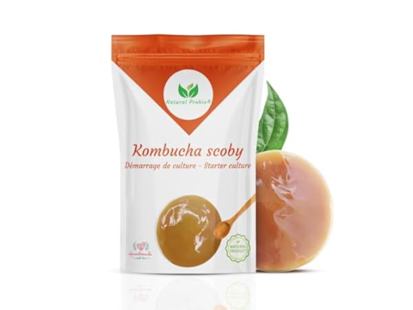Kombucha Vignette