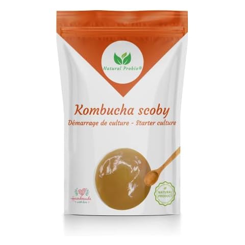 Kombucha