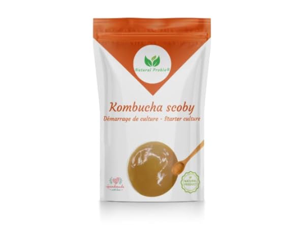 Kombucha thumbnail