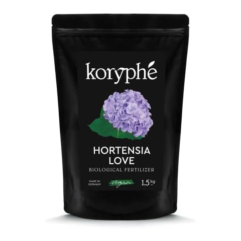 Koryphé thumbnail