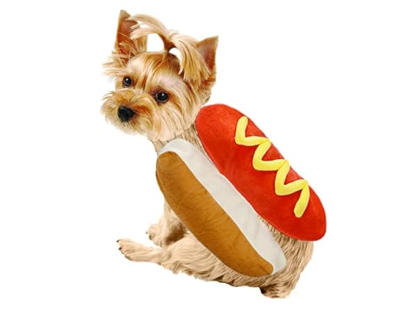 Kostüme für Hunde Vorschaubild