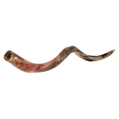 Kudu Yemenite HORN SHOFAR thumbnail