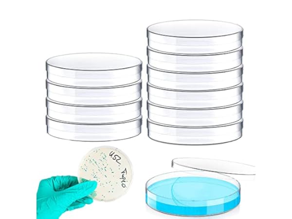 Labor-Petrischalen Vorschaubild