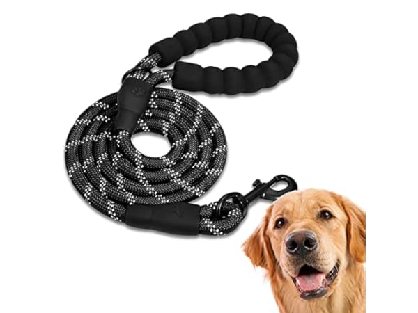 Laisses classiques pour chiens Vignette