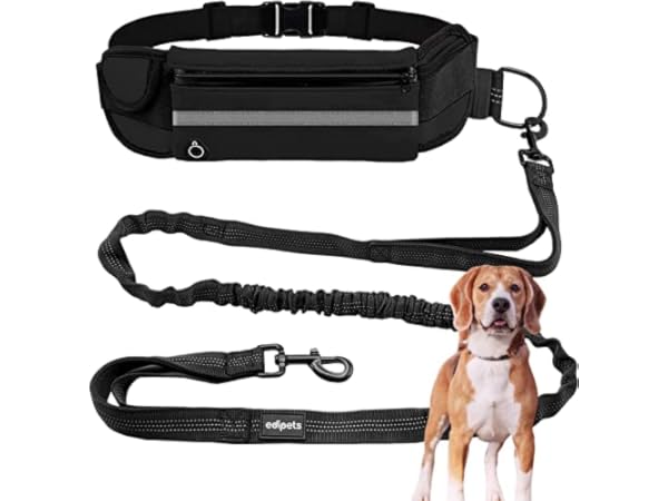 Laisses mains-libres pour chiens Vignette