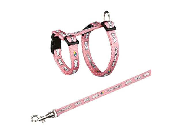 Laisses pour petits animaux Vignette