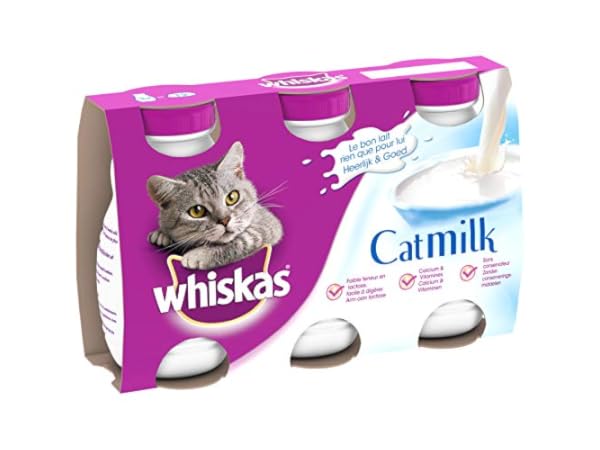 Laits pour chats Vignette