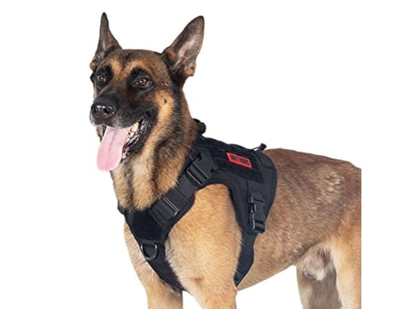 Nylon Laufgeschirre für Hunde thumbnail