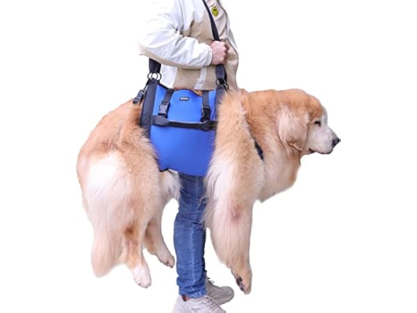 Stoff Laufgeschirre für Hunde thumbnail