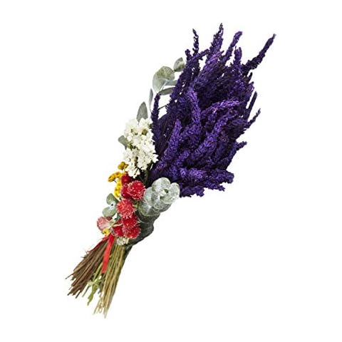 Lavanda Experience thumbnail