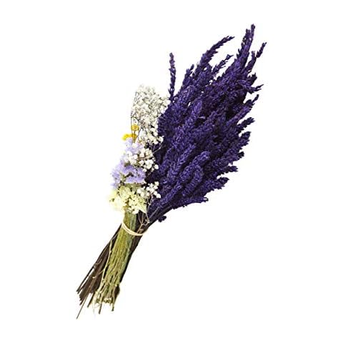 Lavanda thumbnail