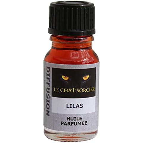 Le Chat Sorcier thumbnail