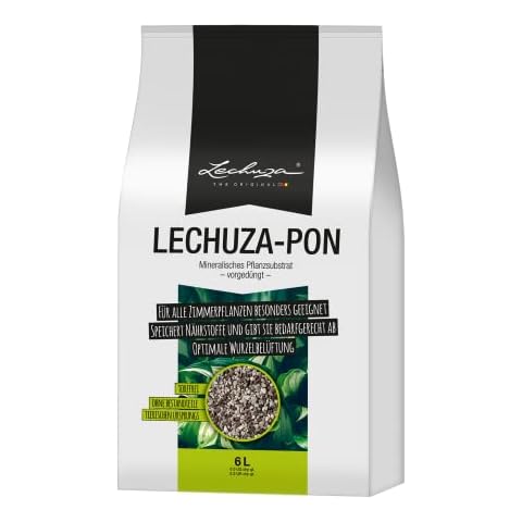 Lechuza thumbnail