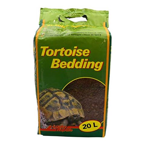 Lucky Reptile thumbnail