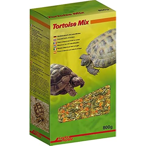 LUCKY REPTILE thumbnail