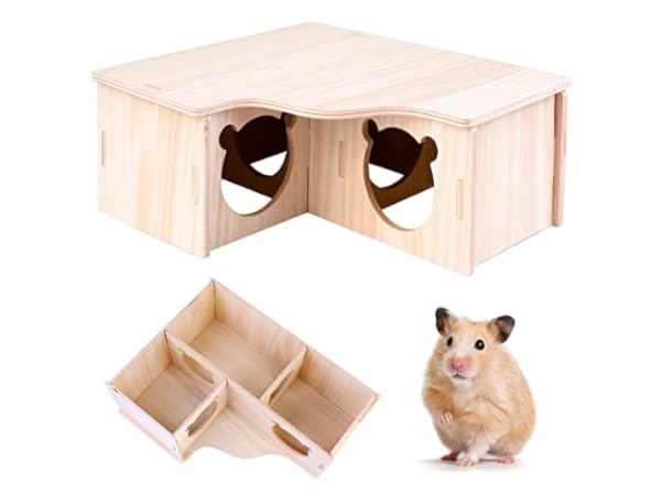 Maisons hamster Vignette