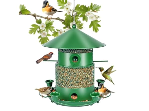 Mangeoires pour oiseaux sauvages Vignette