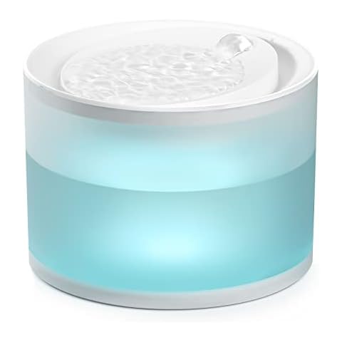 Meowant thumbnail