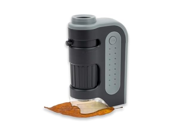 Microscopes Vignette