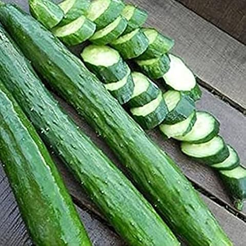 Monnadu thumbnail