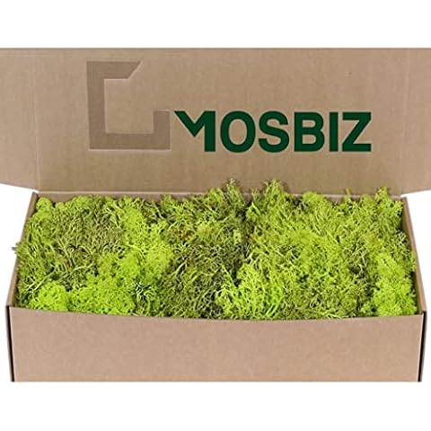 MosBiz thumbnail