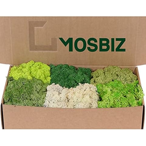 MosBiz thumbnail