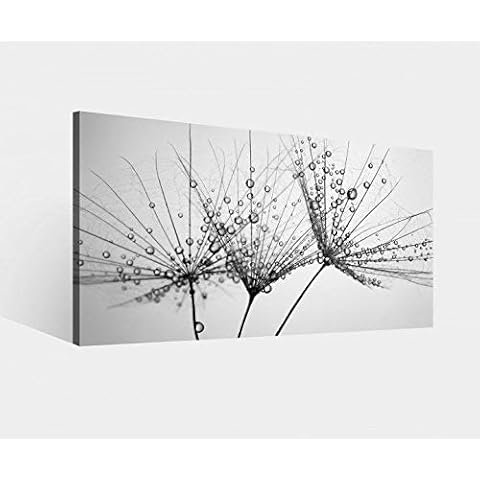 MyDruck-Store thumbnail