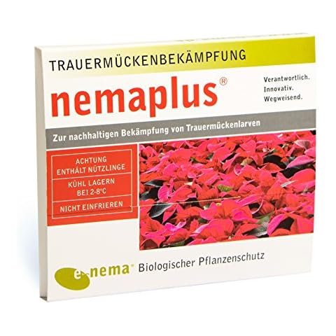 Nemaplus thumbnail