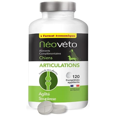 Néovéto thumbnail