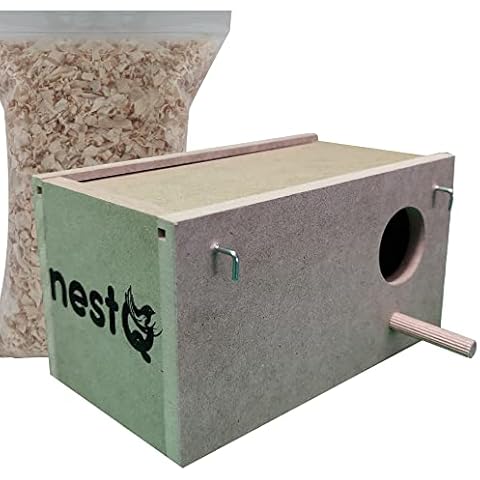 NestQ thumbnail