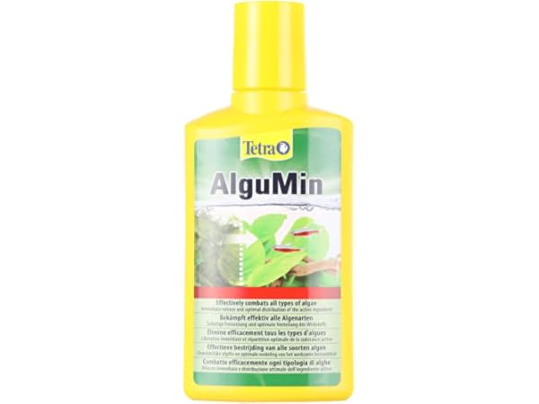 Nettoyeurs d'algues pour aquarium Vignette