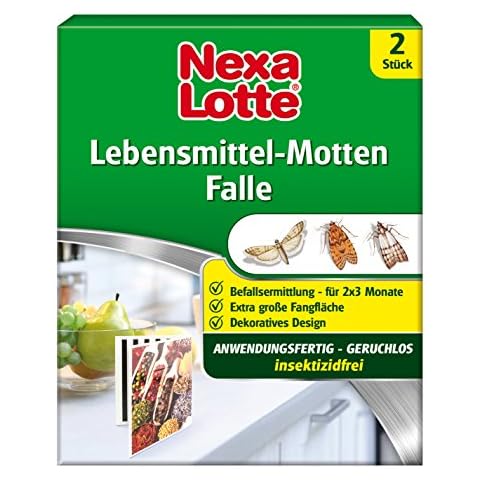 Nexa Lotte thumbnail