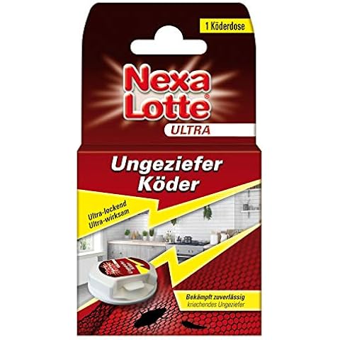 Nexa Lotte thumbnail
