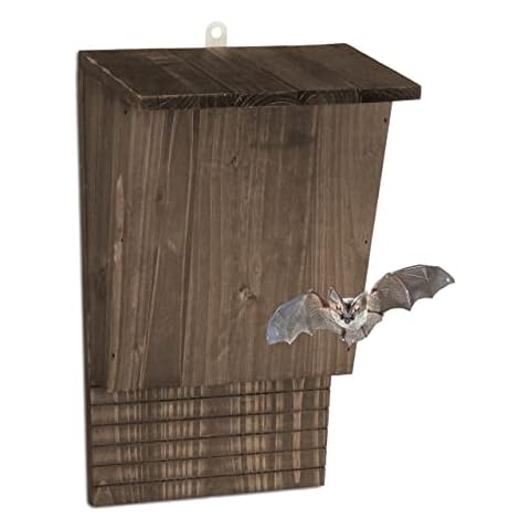 Nichoirs à chauves-souris