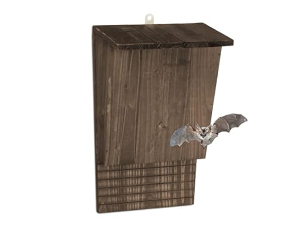 Nichoirs à chauves-souris Vignette