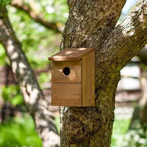 Nichoirs à oiseaux sauvages classiques