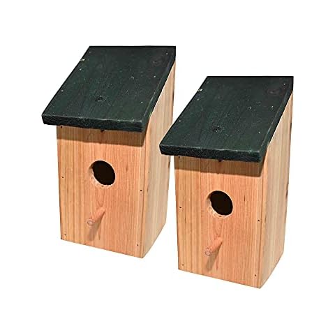Nichoirs à oiseaux sauvages