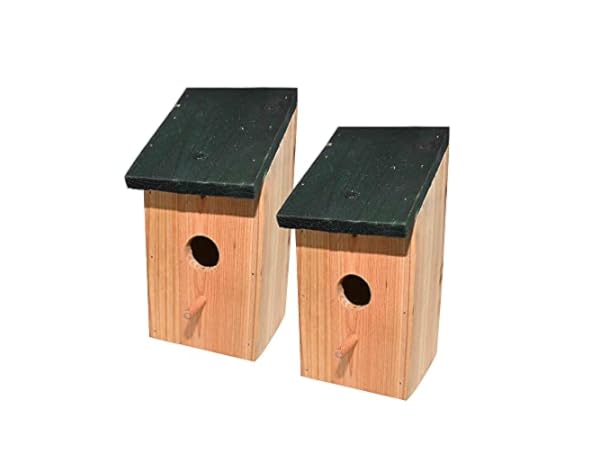 Nichoirs à oiseaux sauvages Vignette