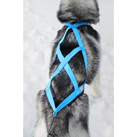 Northern Howl thumbnail