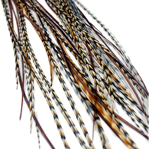 One Fine Day Feathers thumbnail