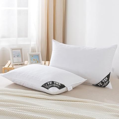 Oreillers en duvet d'oie