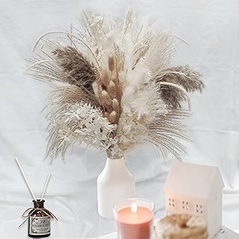 Pampas thumbnail
