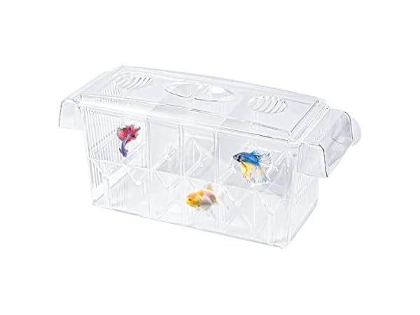 Parideras para peces Miniatura