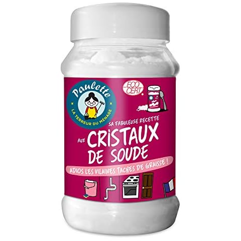 PAULETTE LA TERREUR DU MENAGE thumbnail