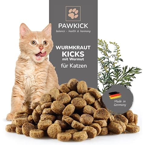 PAWKICK thumbnail